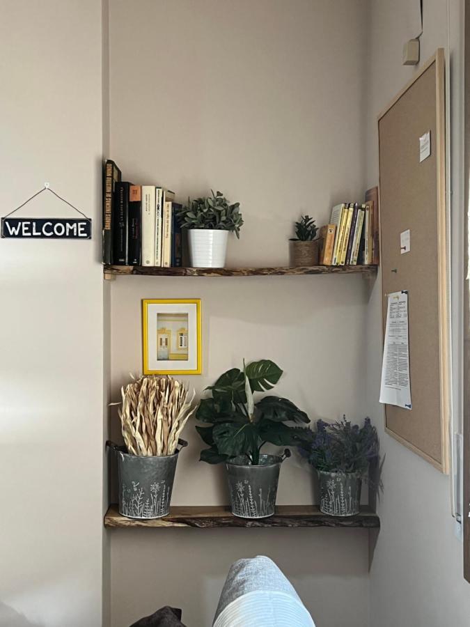 Apartamento Acogedor Pineta ビエルサ エクステリア 写真